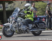 TSR Watermark - 0611